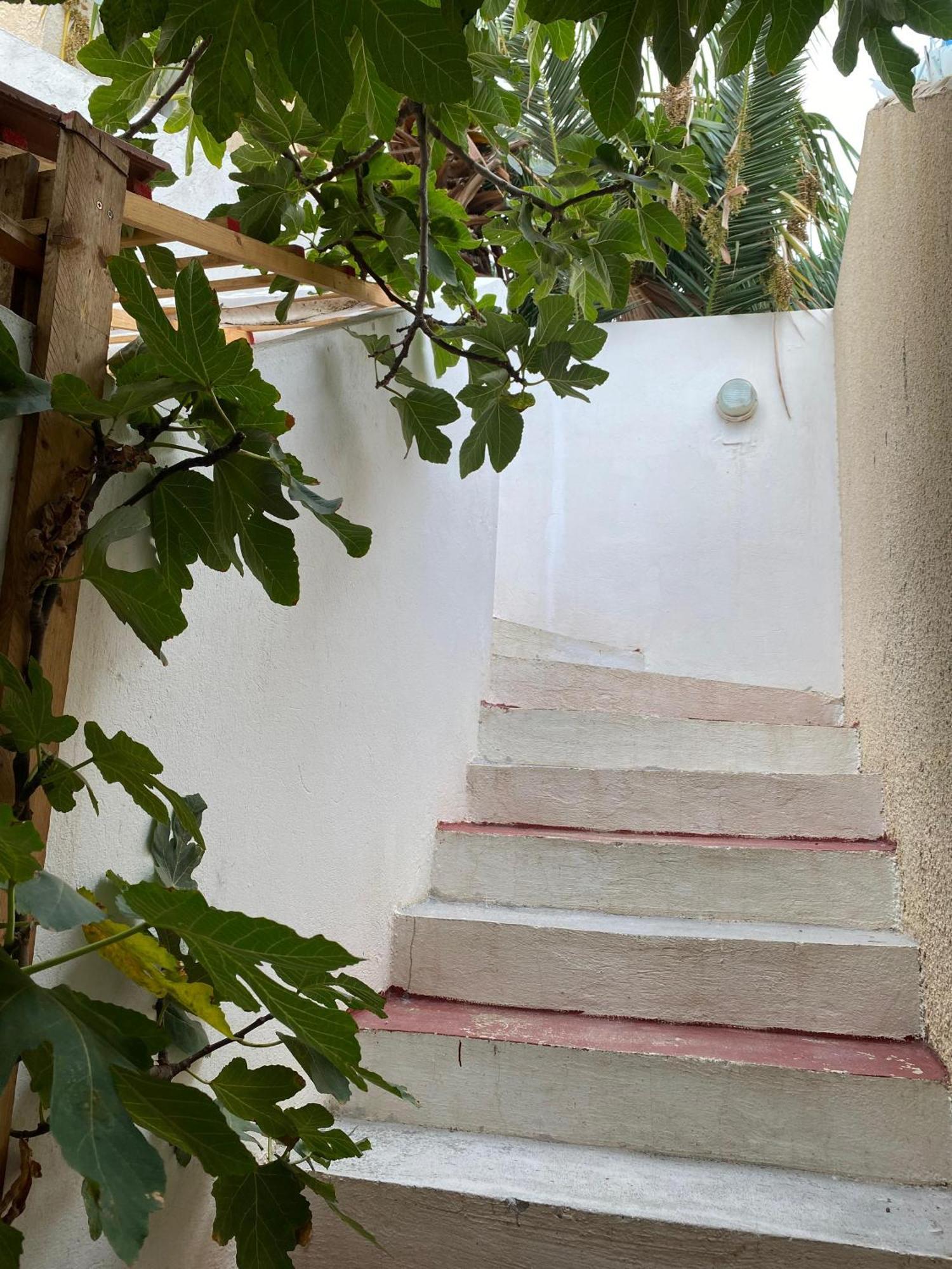 Duplex Pied Dans L'Eau Avec Magnifique Vue Sur Mer モナスティル 部屋 写真